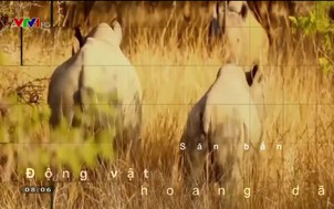 Môi trường: Bảo vệ và tiết kiệm nước