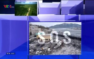 Môi trường: Covid-19 thông điệp từ sự thay đổi