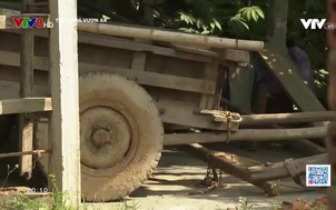 Tâm sáng vươn xa - 02/4/2020