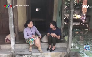 Tâm sáng vươn xa - 14/5/2020