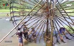 Đi đâu ? ăn gì ?: Những miền quê xứ Nghệ