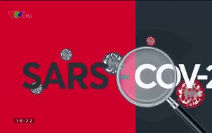 Vững vàng Việt Nam - 10/9/2020