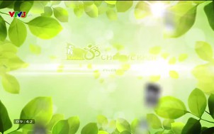 Cẩm nang vàng cho sức khỏe - 02/01/2021