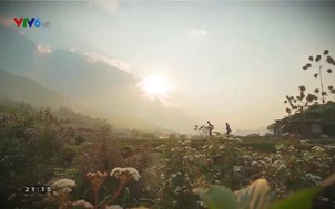 Trên từng cây số 2021 - Số 8