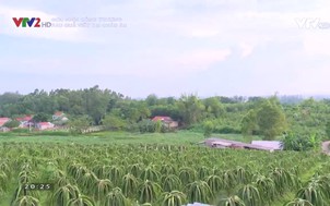 Góc nhìn công thương: Rau quả Việt tại Châu Âu