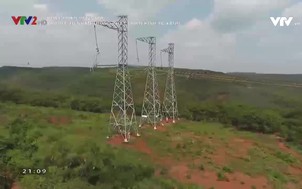 Phát triển bền vững: Vai trò kinh tế tư nhân trong phát triển kinh tế xanh