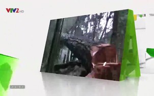 Phát triển bền vững: Chuyển dịch năng lượng hướng đến phát triển bền vững