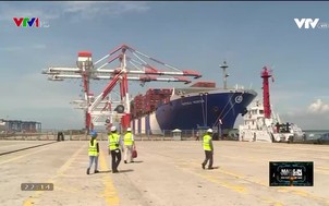 Made in Vietnam - Sản xuất tại Việt Nam - 10/12/2021