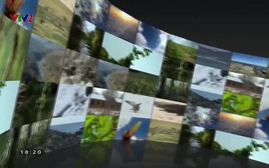 Xem và nghĩ: Chim cánh cụt hoàng đế