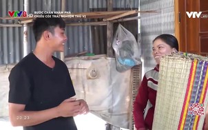 Bước chân khám phá: Chiếu cói trải nghiệm thú vị