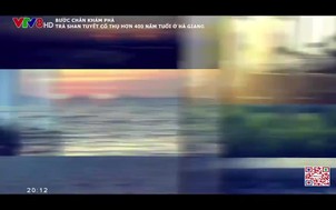 Bước chân khám phá: Trà Shan Tuyết cổ thụ hơn 400 năm tuổi ở Hà Giang