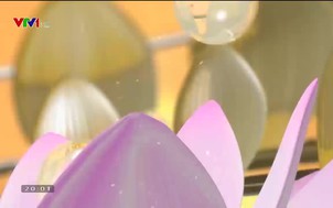 Nhớ Người - 22/5/2021