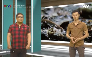 Xem và nghĩ:  Bí ẩn của loài kì giông