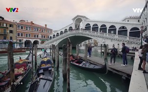 Chân trời khoa học 2022 - Số 1