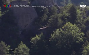 Khám phá thế giới: 	Những loài vật đang bị đe dọa - Tập 7