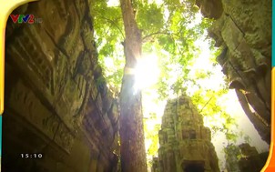 Khám phá thế giới: Những loài vật đang bị đe dọa - Tập 9