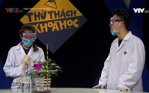 Thử thách khoa học - 06/4/2022
