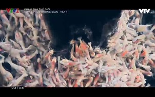 Khám phá thế giới: Chinh phục không gian - Tập 1