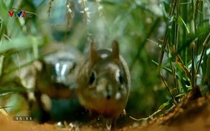 Khám phá thế giới: 	Nước, tương lai của sự sống - Tập 3