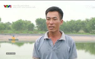 Chuyện nhà nông: Sản xuất kinh doanh giỏi