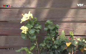 Sắc màu không gian: Niềm đam mê của chủ nhà