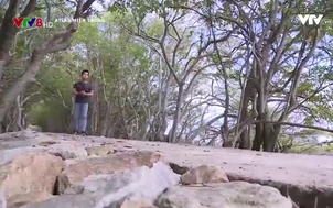 Atlas Miền Trung: Mạch sống Rú Chá