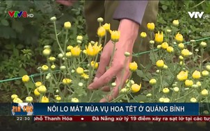 Tin cuối ngày - 19/12/2018