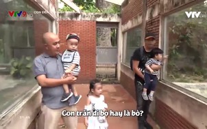 Con đến từ hành tinh nào - 22/7/2018