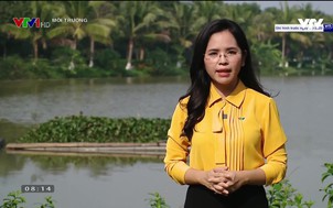 Môi trường: Chủ động ứng phó xâm nhập mặn