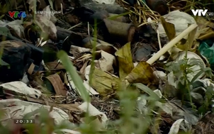 Siêu thủ lĩnh 2017 - Số 19