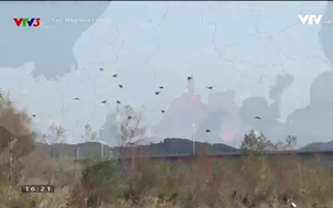 Sắc màu Nhật Bản 2018 - Tập 3