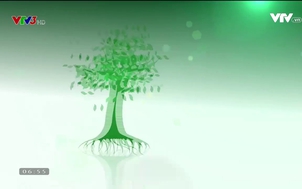 Vì một tương lai xanh - 18/12/2017