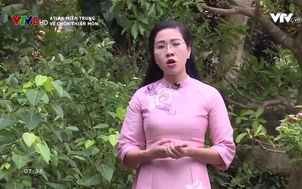 Atlas Miền Trung: Về chốn Thiền Môn