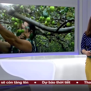 Chào ngày mới - 23/02/2018