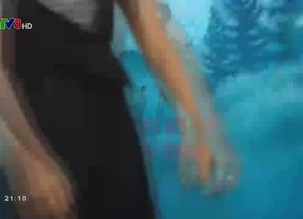 Thoát khỏi cạm bẫy: Kẻ móc túi của sinh viên