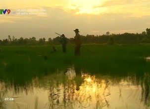 Về đất Phương Nam: Về miền sông trăng