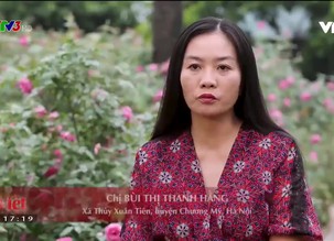 Đẹp Việt: Chị Bùi Thị Thanh Hằng