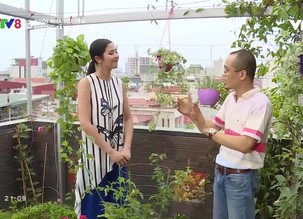 Ngôi nhà tôi yêu: Hướng tây xanh mát