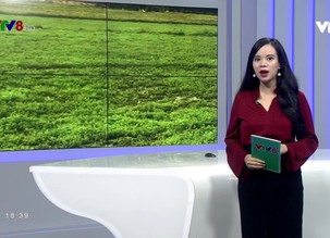 Kết nối miền Trung - 17/12/2018