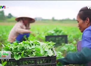 Tôi là nông dân (20h40) - 17/12/2018