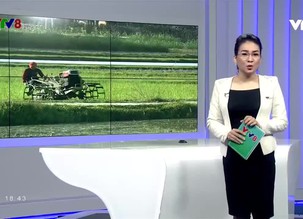 Kết nối miền Trung - 19/12/2018