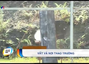 Cuộc sống thường ngày - 22/12/2018