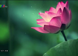 Đẹp Việt: Nhiếp ảnh gia Đỗ Vy