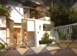 Ngôi nhà tôi yêu: Nhà tổ mối