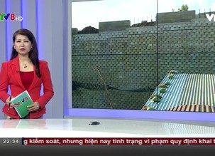 Tin cuối ngày - 06/12/2018