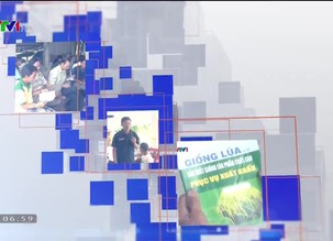 Trang địa phương - 08/12/2018