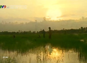 Về đất phương Nam: Làng gốm cổ ven sông