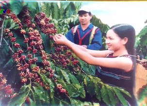 Miền Trung - Tây Nguyên 24/7 - 12/01/2019