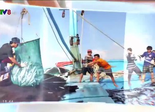 Miền Trung & Tây Nguyên 24/7 - 05/01/2019