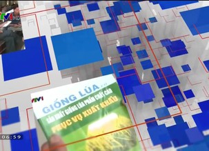 Trang địa phương - 05/01/2019